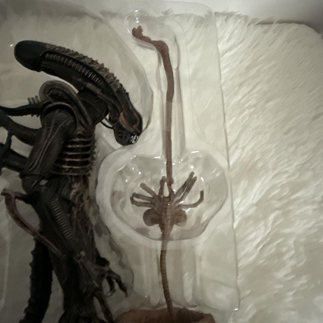 NECA エイリアン ウォーリアー 7インチ 箱付 美品