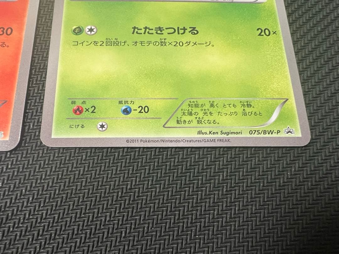 BW御三家　プロモカード　ミジュマル　ポカブ　ツタージャ　BW-P 3枚セット