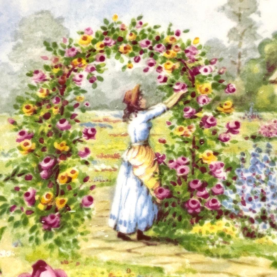   オールドカントリーローズ　セレブレーションプレート