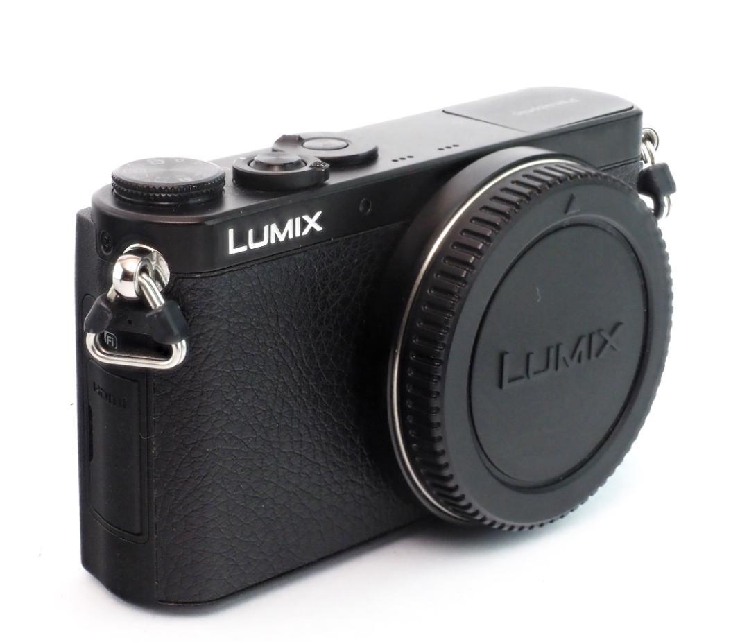 Lumix GM1 + Olympus 25mm F1.8 M4/3 美品完動品
