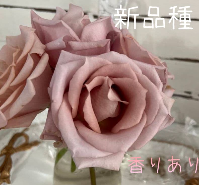 emiriさま　3点　バラ