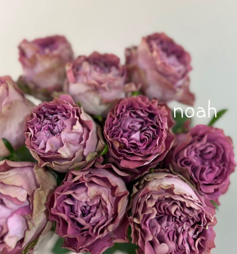 emiriさま　3点　バラ