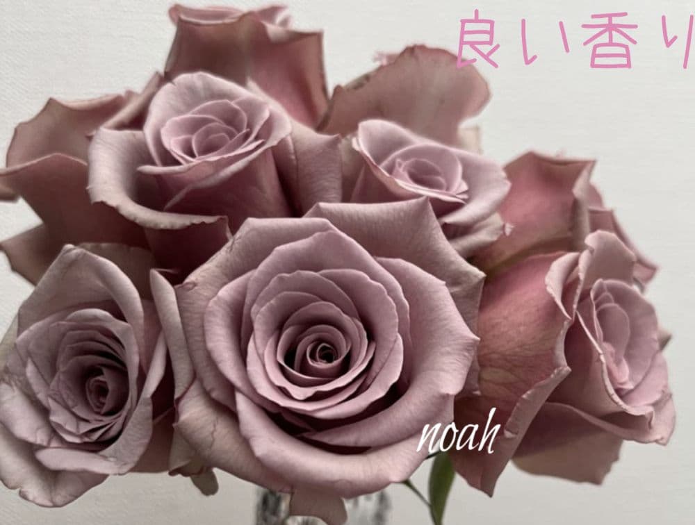 emiriさま　3点　バラ