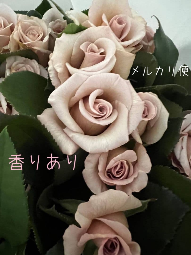 emiriさま　3点　バラ