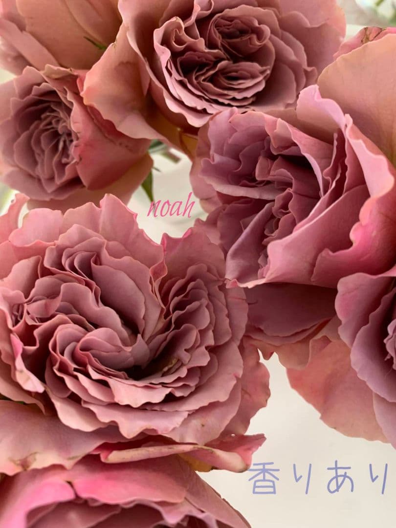 emiriさま　3点　バラ