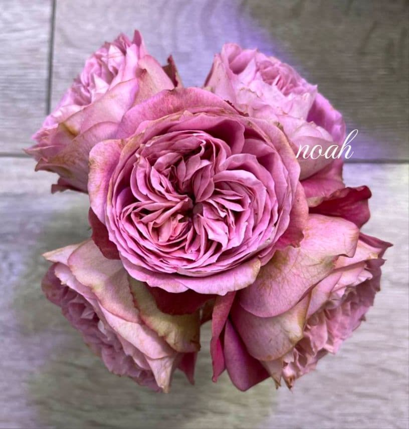 emiriさま　3点　バラ