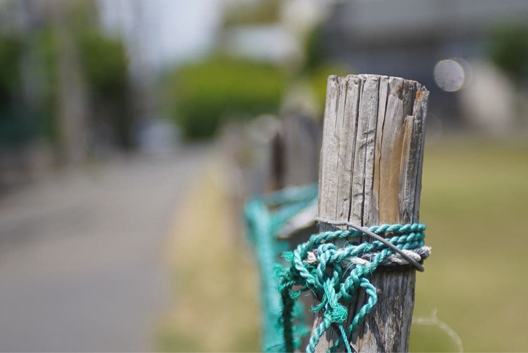 AF-S NIKKOR ED 28-70mm F2.8D 訳あり