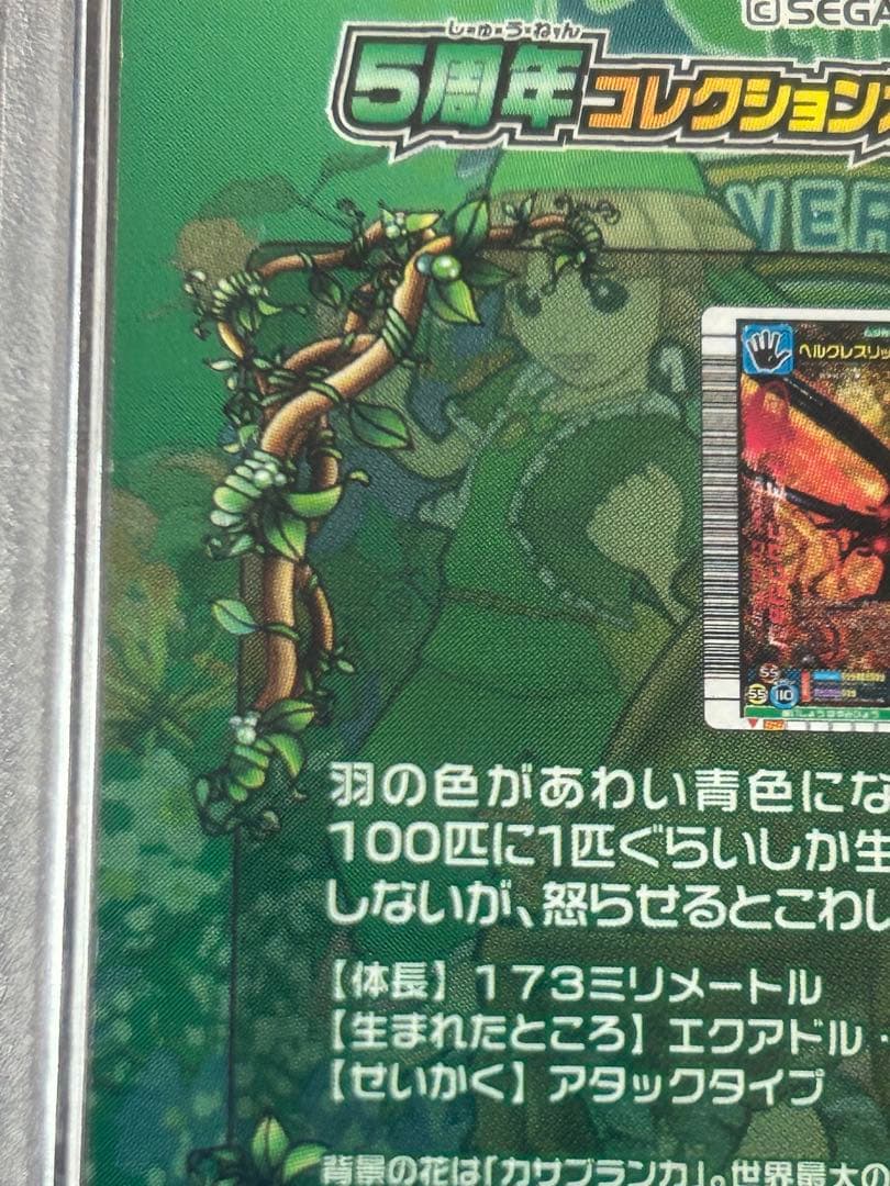 【PSA8】ヘラクレスリッキーブルー　アダーコレクション　ムシキング　5周年