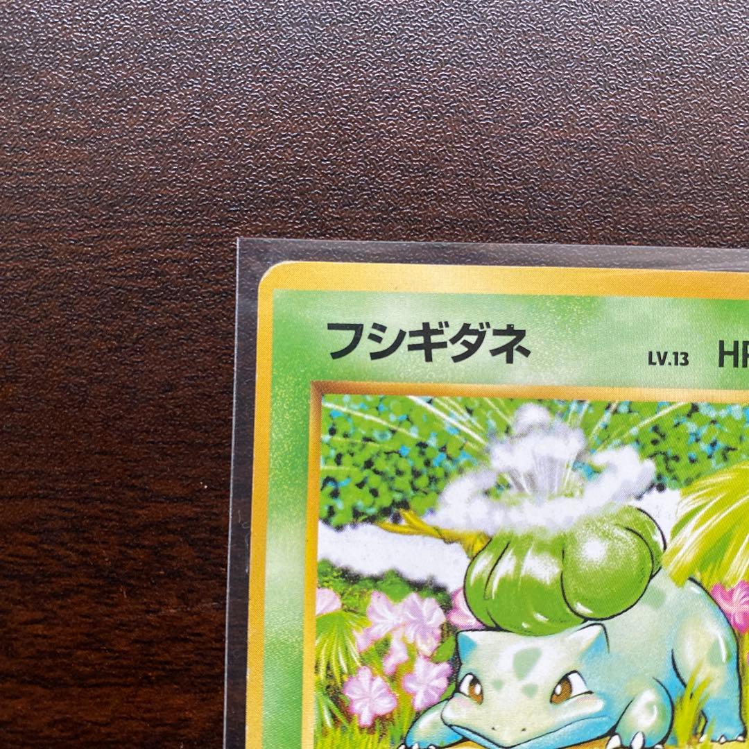 フシギダネ ● 第1弾拡張パック　初版　マークなし