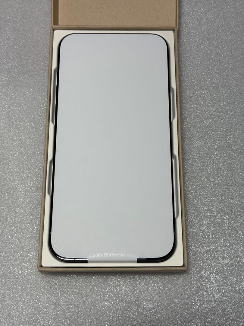 【未使用】 Apple iPhone 13 Pro Max 1TB シエラブルー