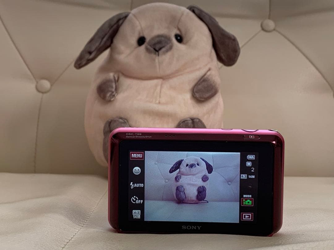 ソニー SONY Cyber-shot DSC-T99 充電器付　デジカメ
