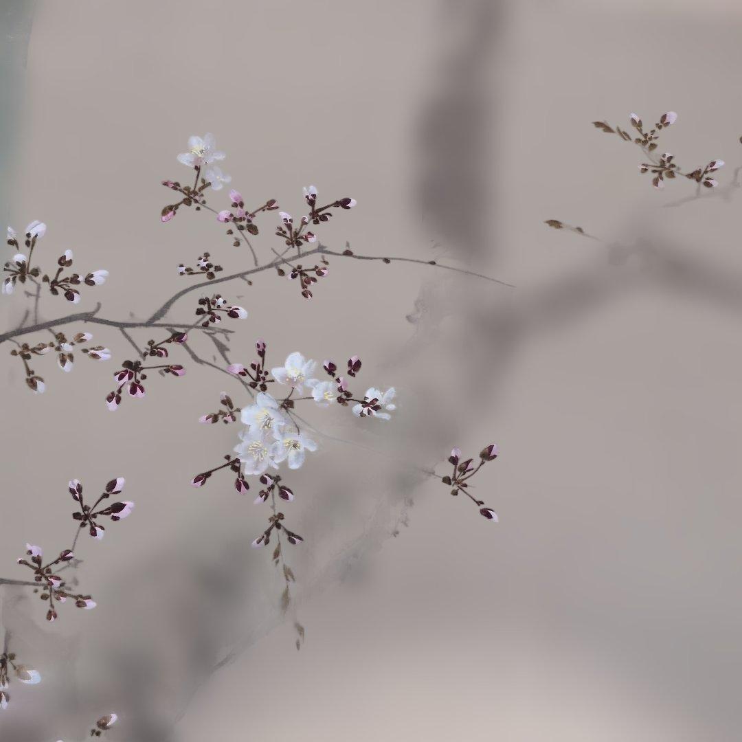 今井景樹　桜　掛軸
