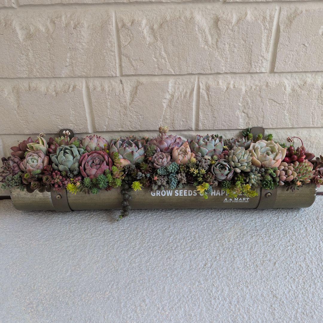 多肉植物 ♡そのまま飾れる寄せ植え♡雨樋プランターaziazi♬.*゜約35cm