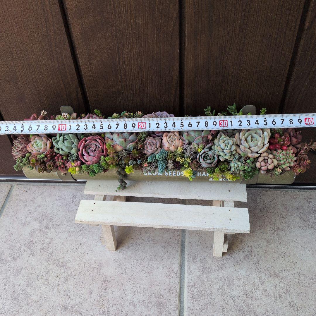 多肉植物 ♡そのまま飾れる寄せ植え♡雨樋プランターaziazi♬.*゜約35cm