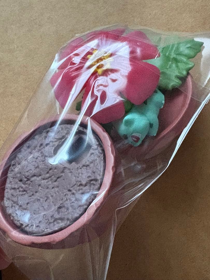 ポケモン リーメント ポケットボタニカル 4種類