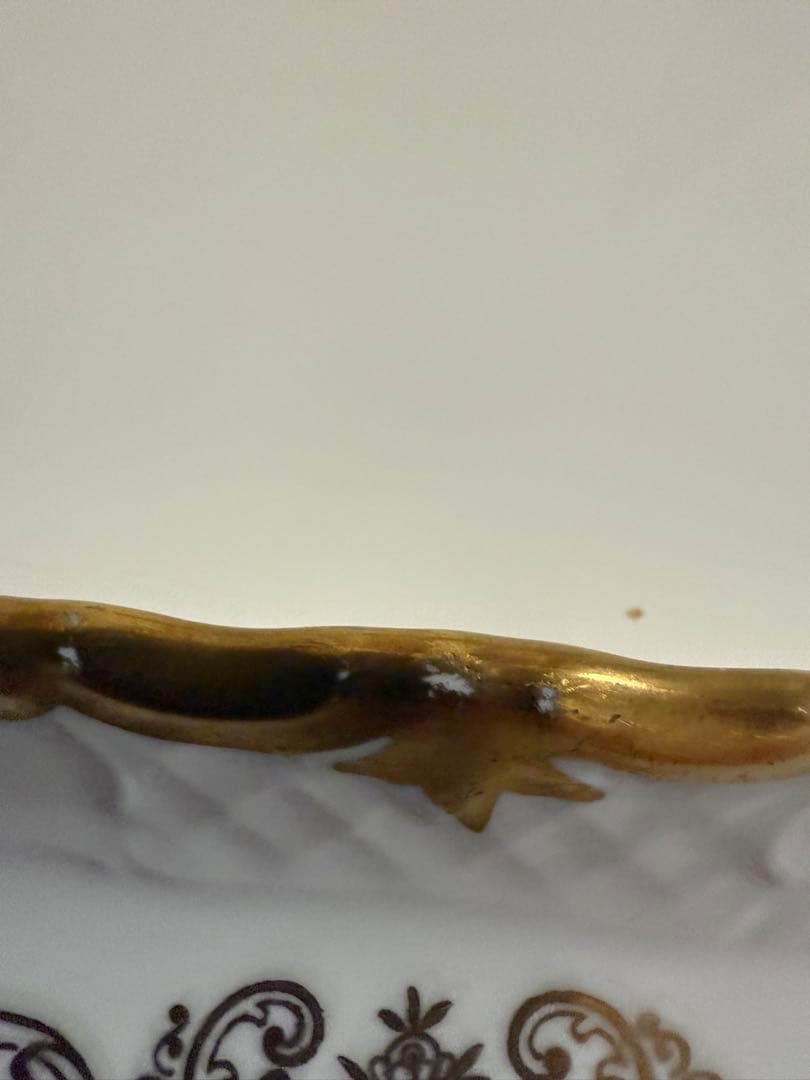 ライヒェンバッハ　ロングプレート