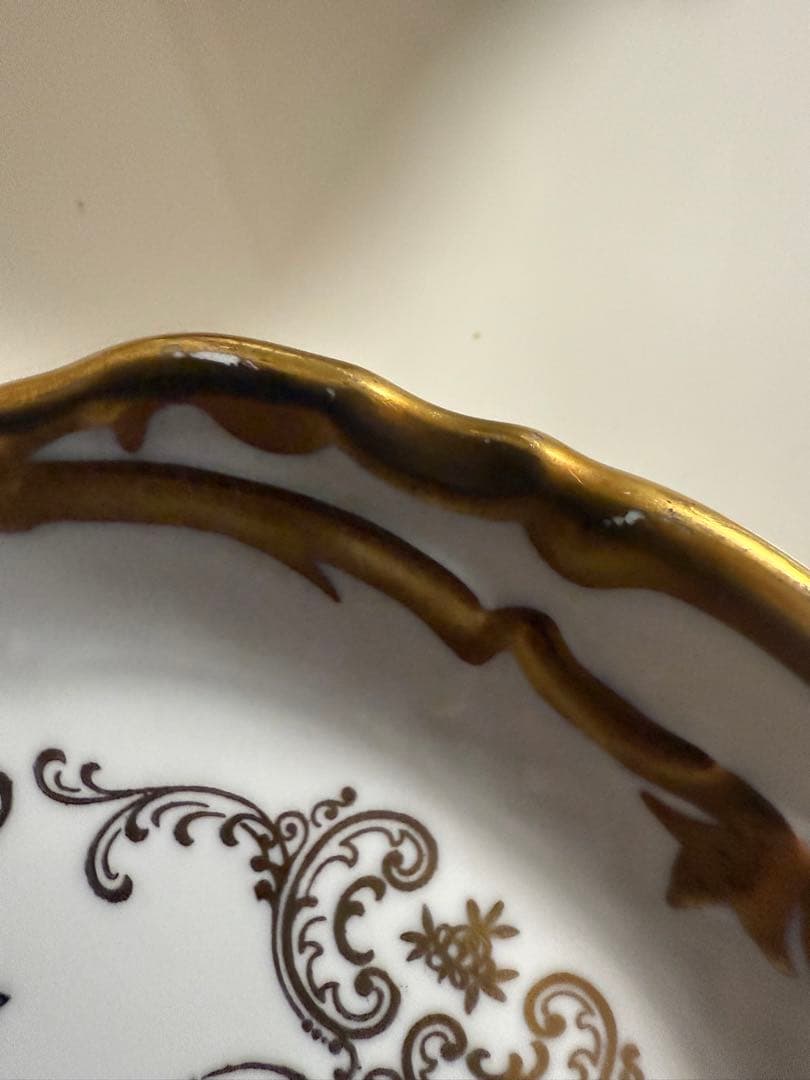 ライヒェンバッハ　ロングプレート