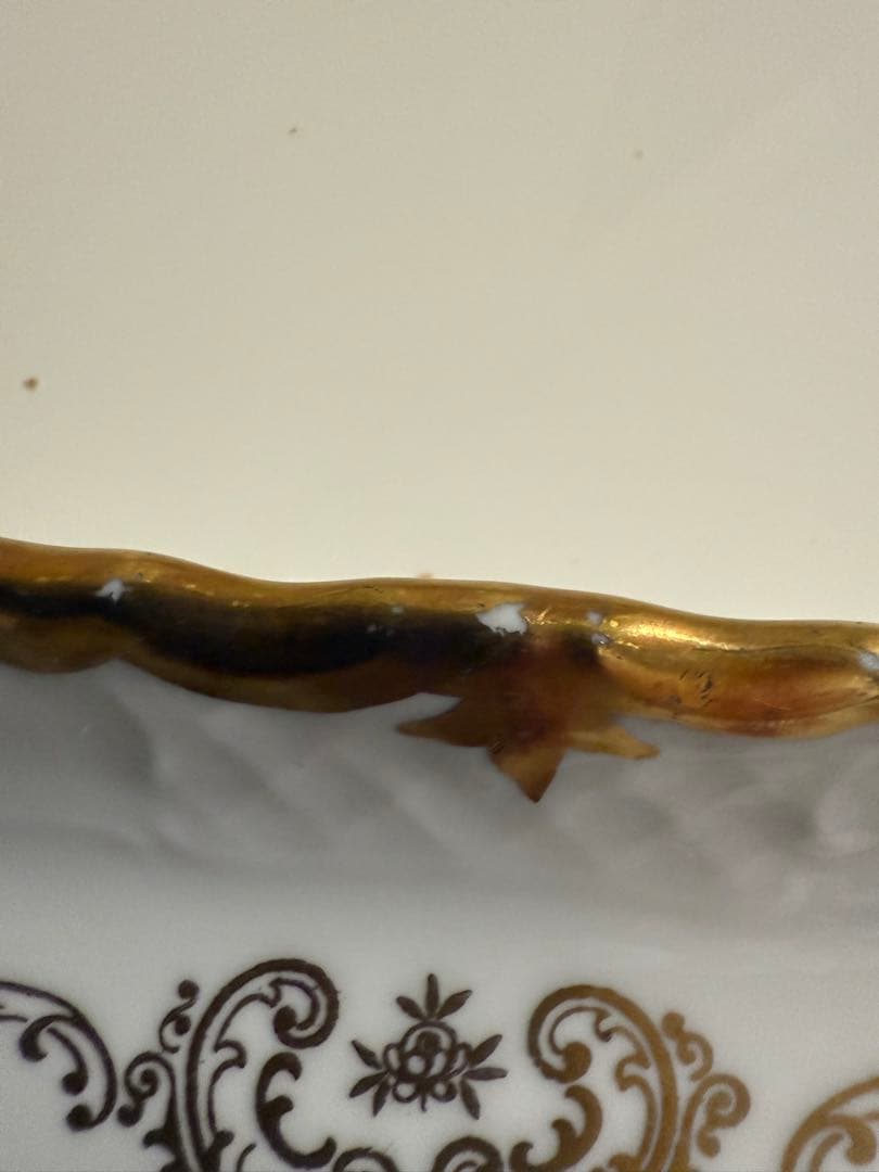 ライヒェンバッハ　ロングプレート