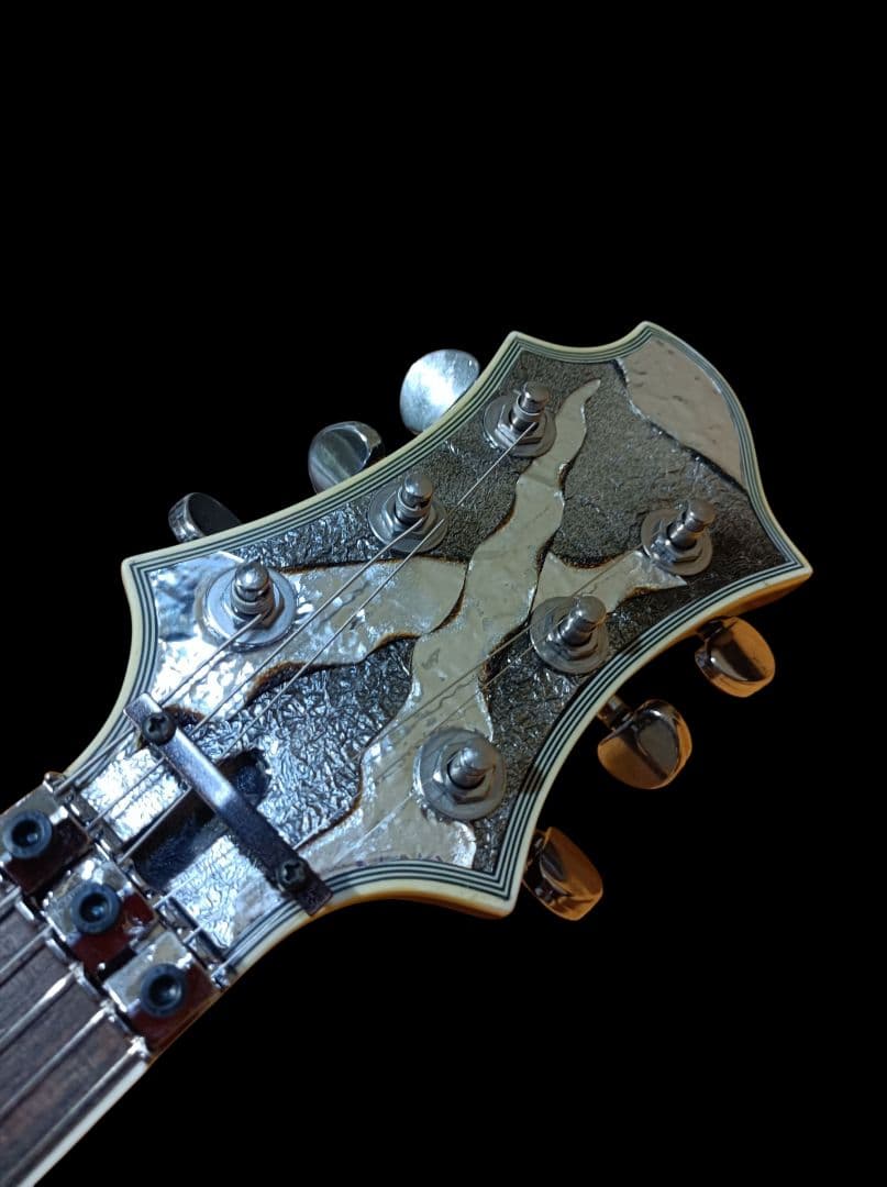 JAGUARピックアップ搭載 SUGIZO S-I brilliant