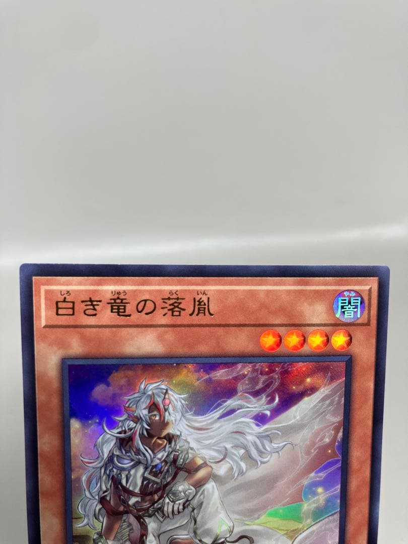 ●Tプレイ用　遊戯王　白き竜の落胤2枚　黒き竜のエクレシア1枚セット　N5649