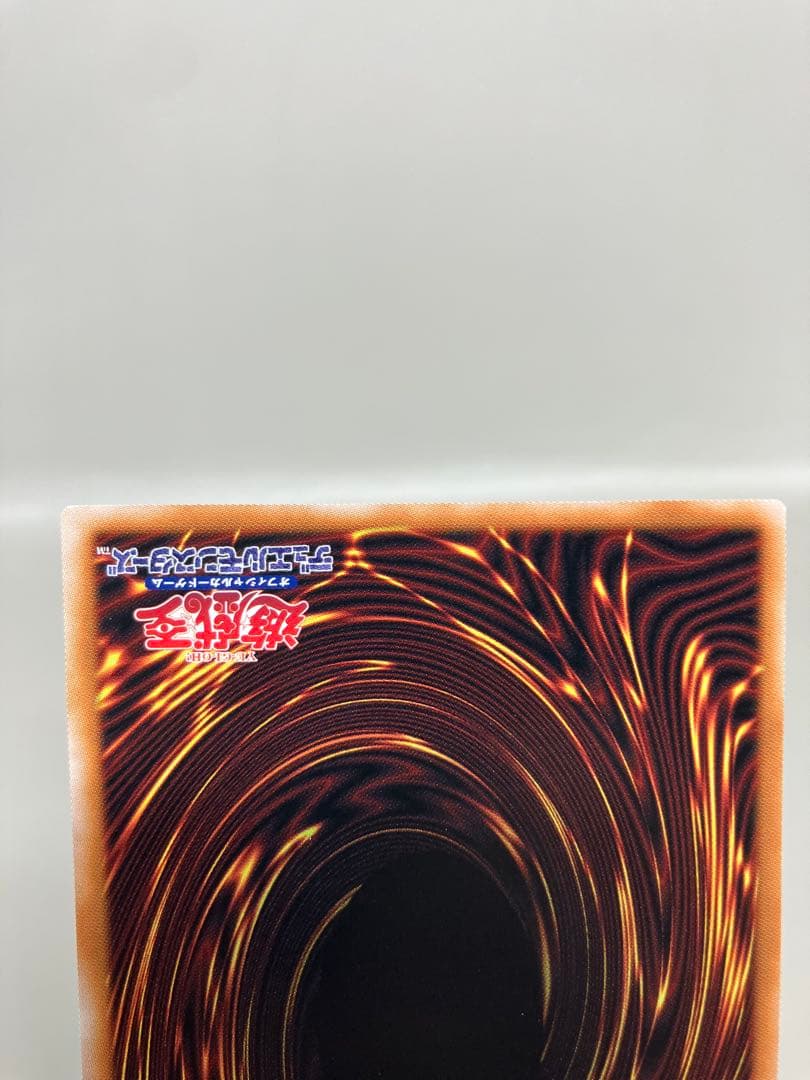 ●Tプレイ用　遊戯王　白き竜の落胤2枚　黒き竜のエクレシア1枚セット　N5649