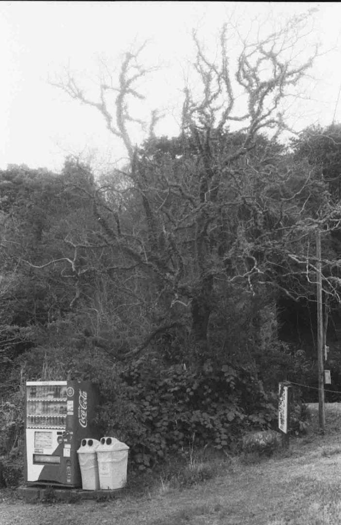 フィルムカメラ MINOLTA XD rokkor 50mm f1.7