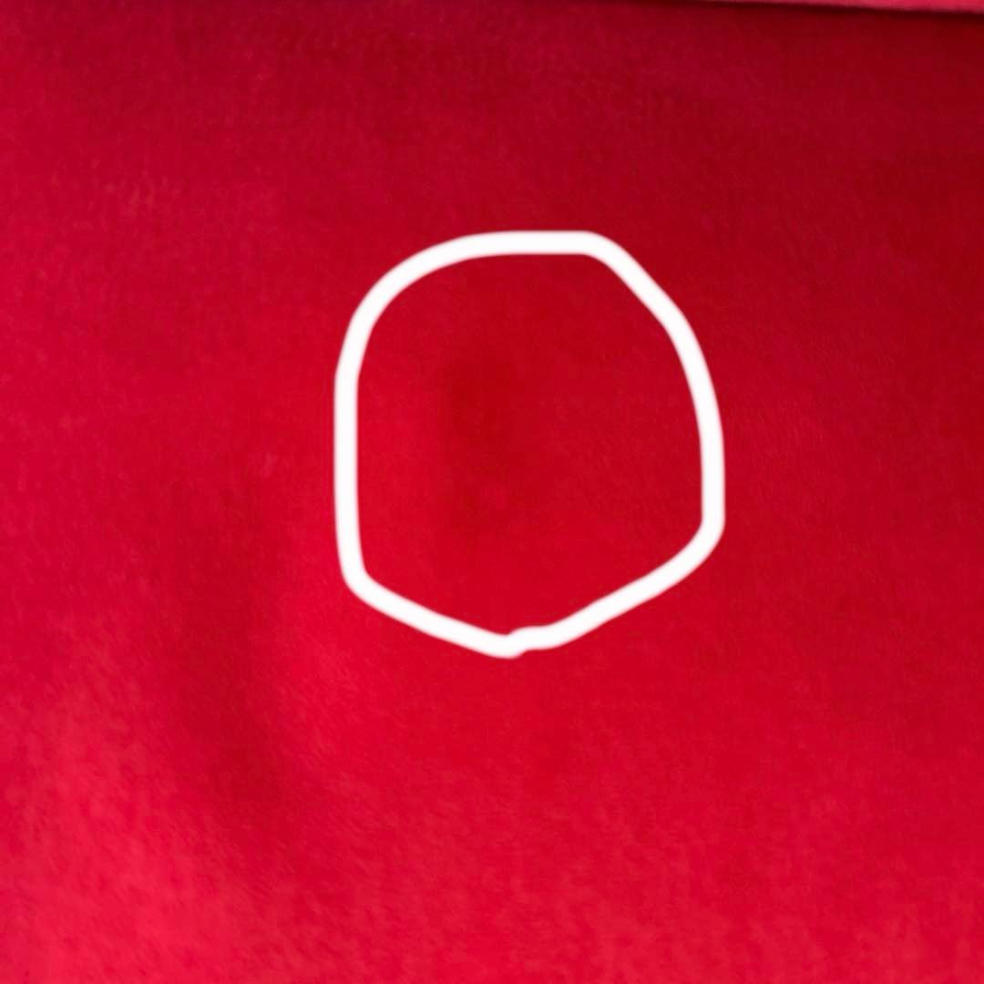 【美品】ソファ　ビロード生地2人掛け　レッド ニトリ