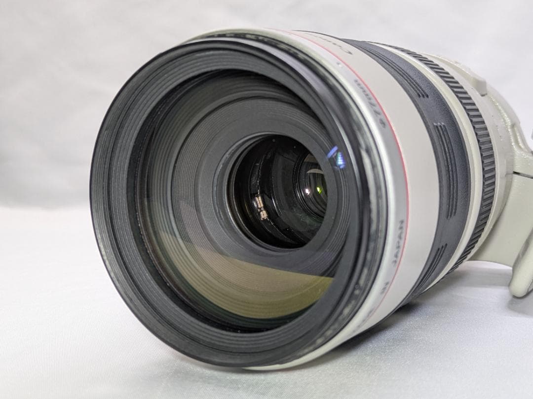 レンズ(ズーム) Canon EF 100-400mm 4.5-5.6 L IS USM #290