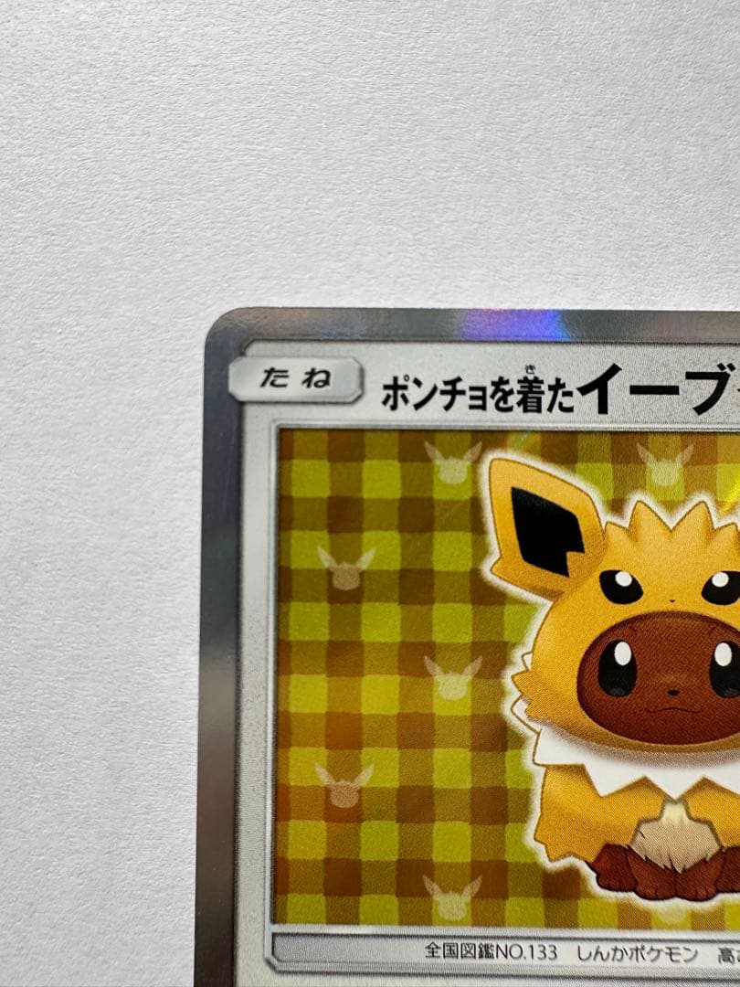 ポンチョを着たイーブイ　サンダース プロモ ポケモンカード