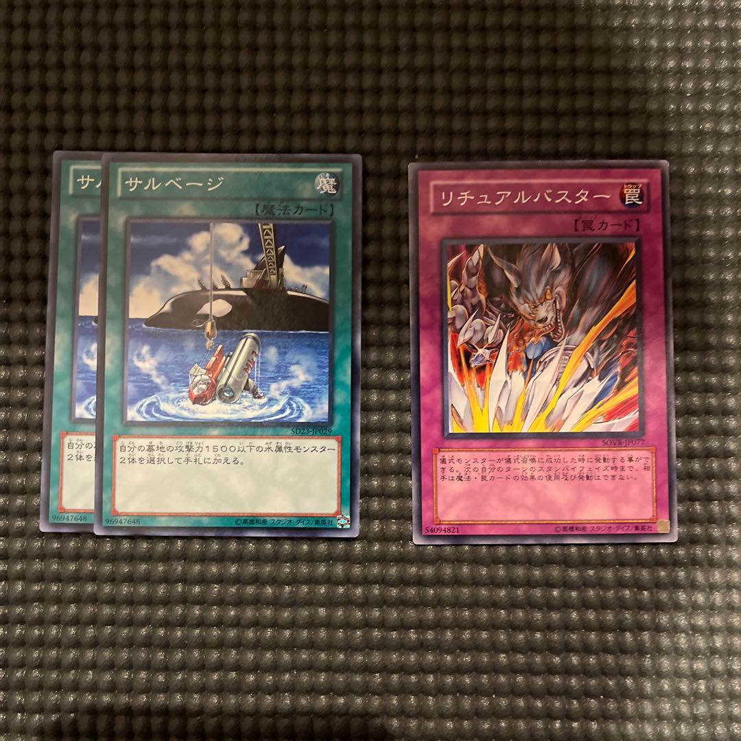 遊戯王　リチュア　デッキパーツ