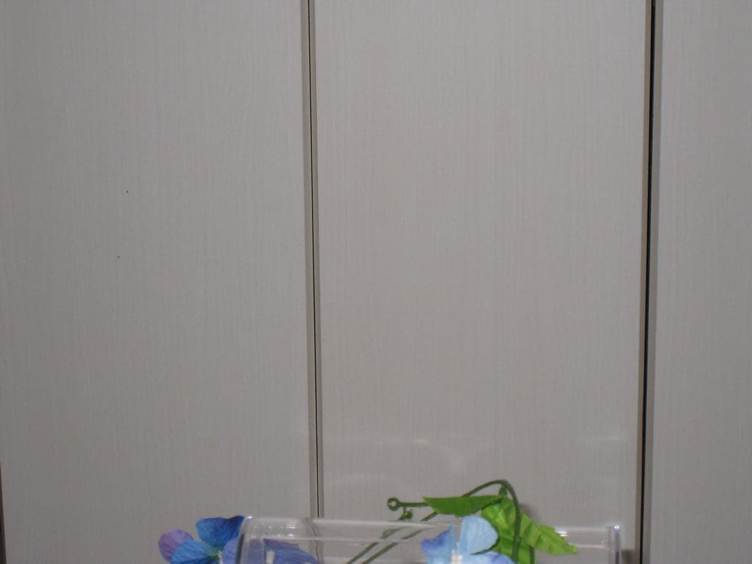 Canon カメラ　IXY 910IS PC1249 充電器　箱 コンデジ　可動