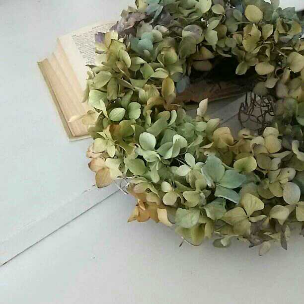 ＊なぴぴこページです＊ 紫陽花リース
