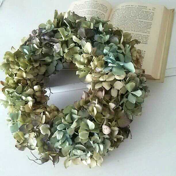 ＊なぴぴこページです＊ 紫陽花リース