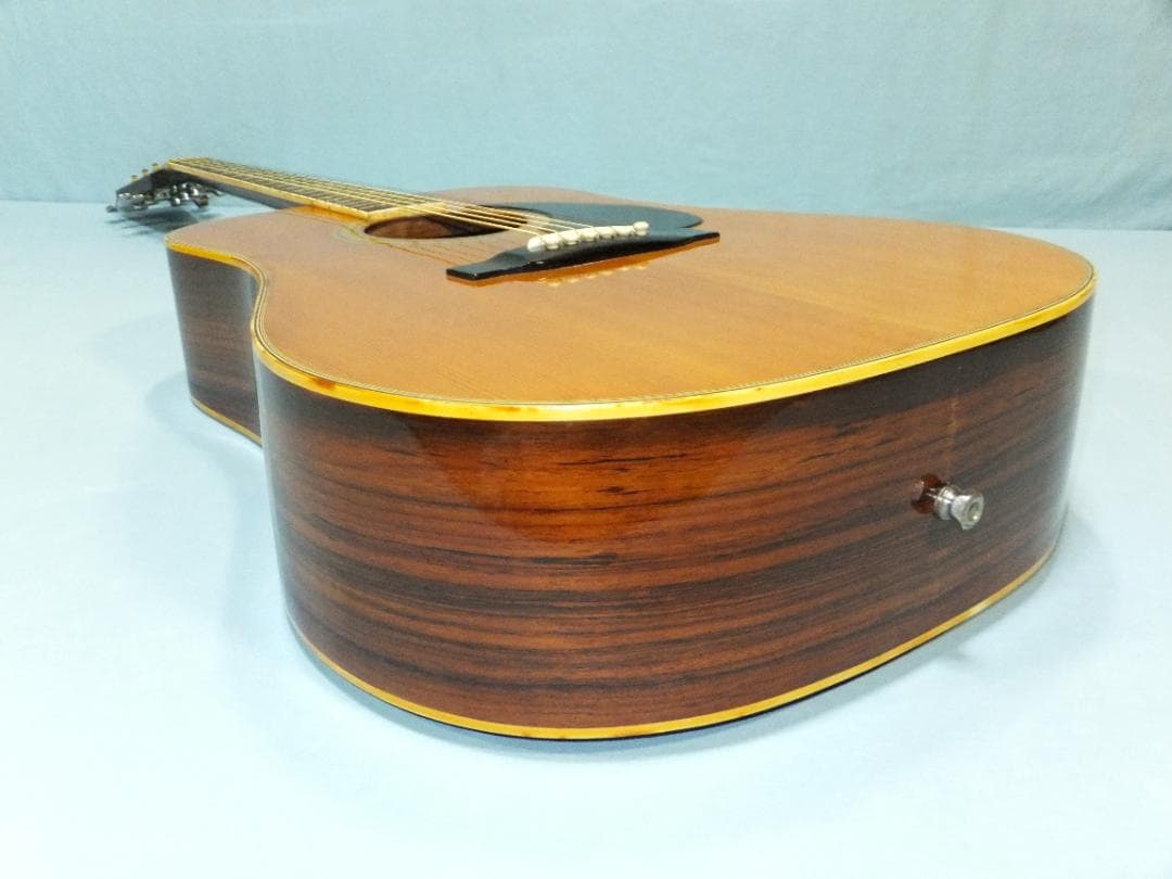 キャッツアイ CE-200 ハードケース・ピックアップ付き