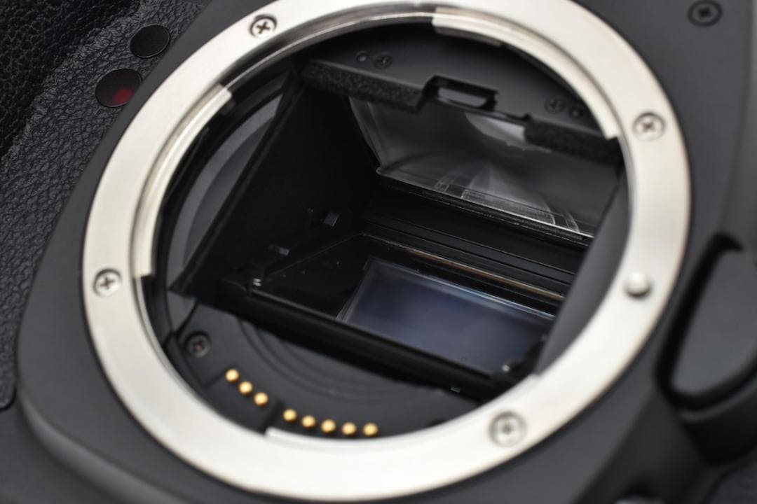 【超美品】 Canon キャノン EOS 5D Mark II + Pグリップ