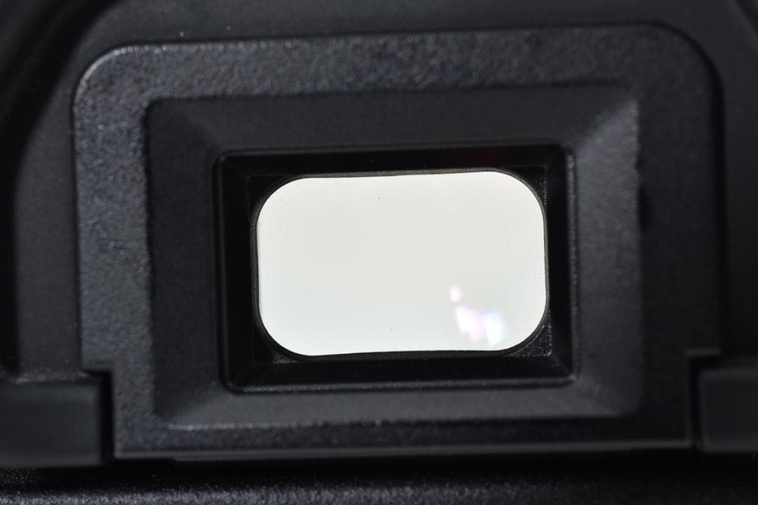 【超美品】 Canon キャノン EOS 5D Mark II + Pグリップ