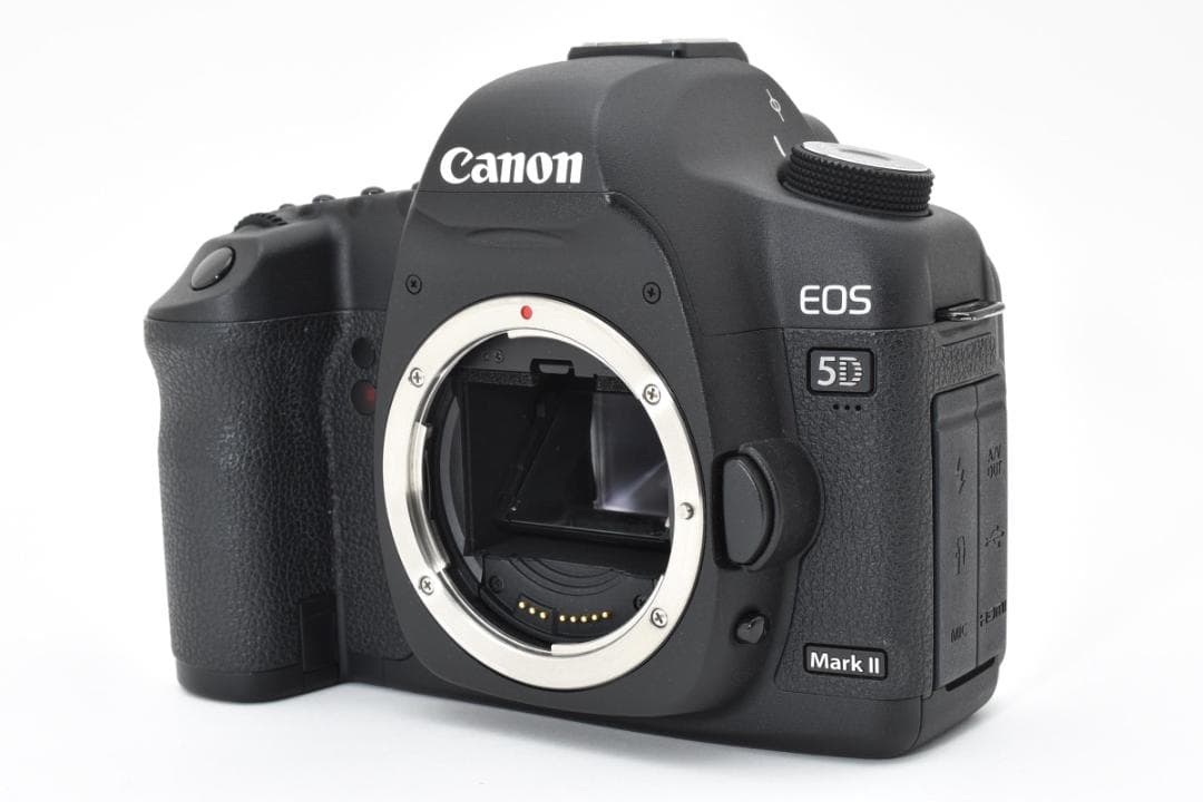 【超美品】 Canon キャノン EOS 5D Mark II + Pグリップ