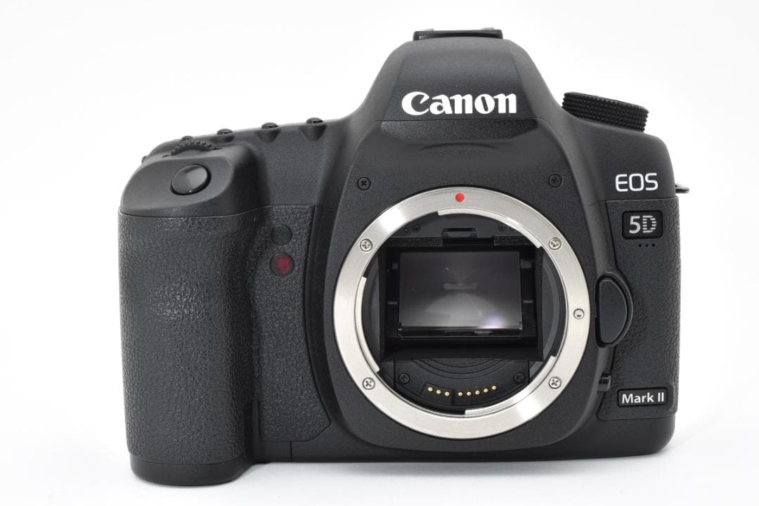 【超美品】 Canon キャノン EOS 5D Mark II + Pグリップ