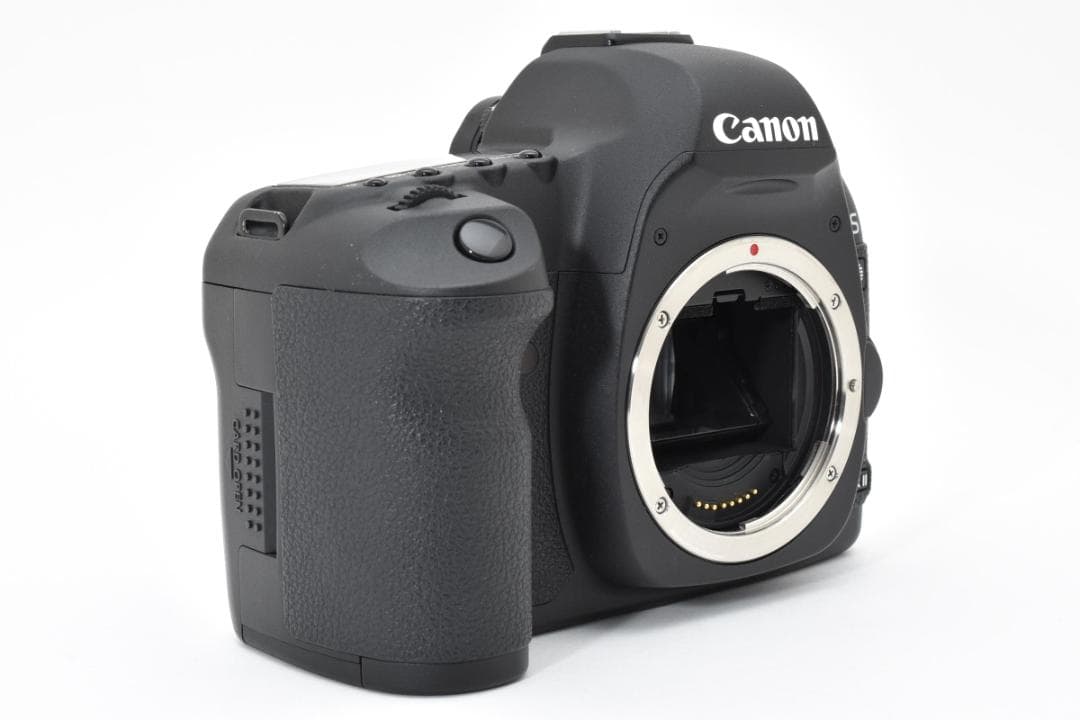 【超美品】 Canon キャノン EOS 5D Mark II + Pグリップ