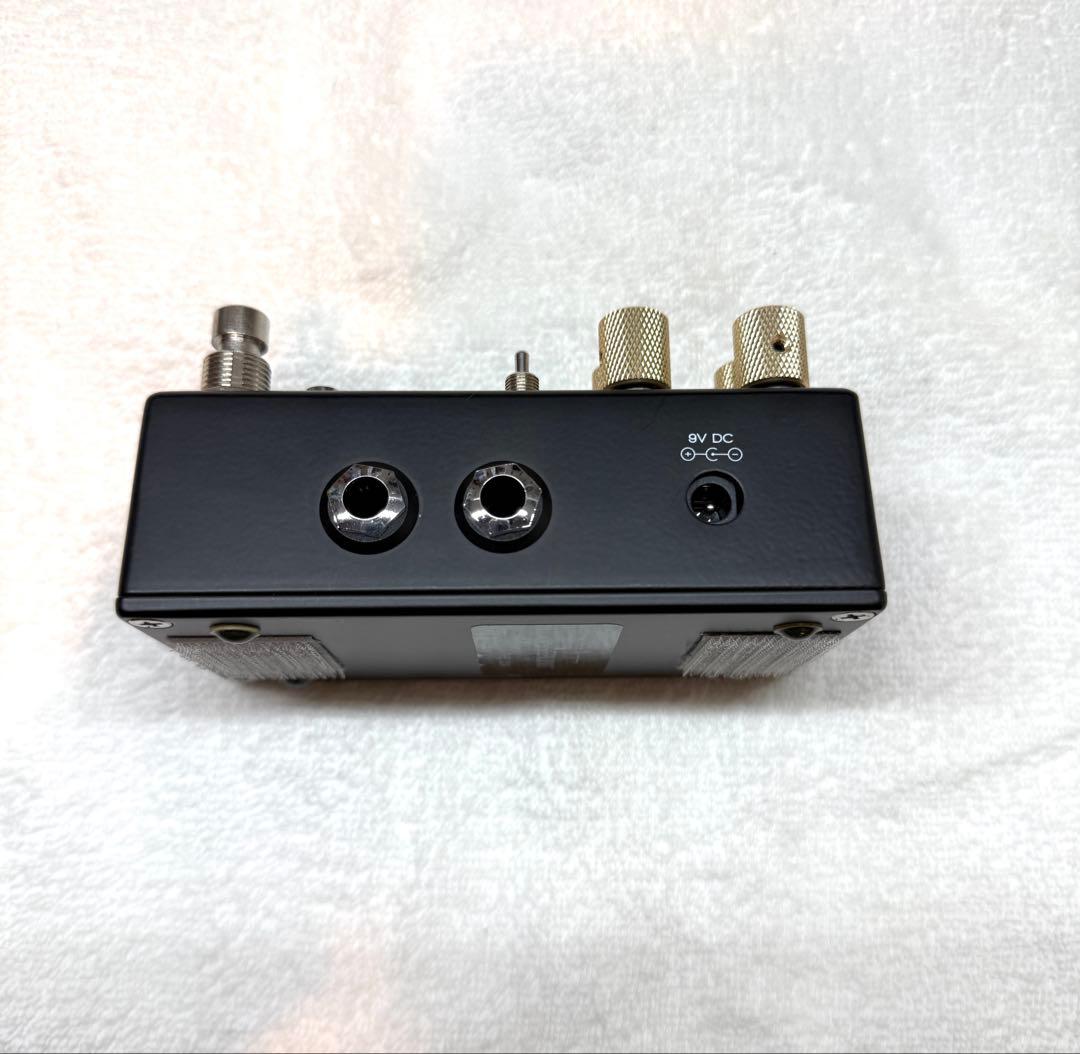 ギター chase bliss audio warped vinyl