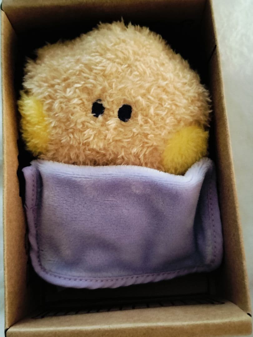 SHOOKY SUGA グッズまとめ売り
