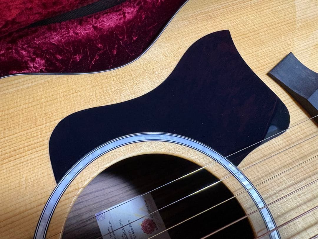 Taylor 214ce Plus ハードケース付き