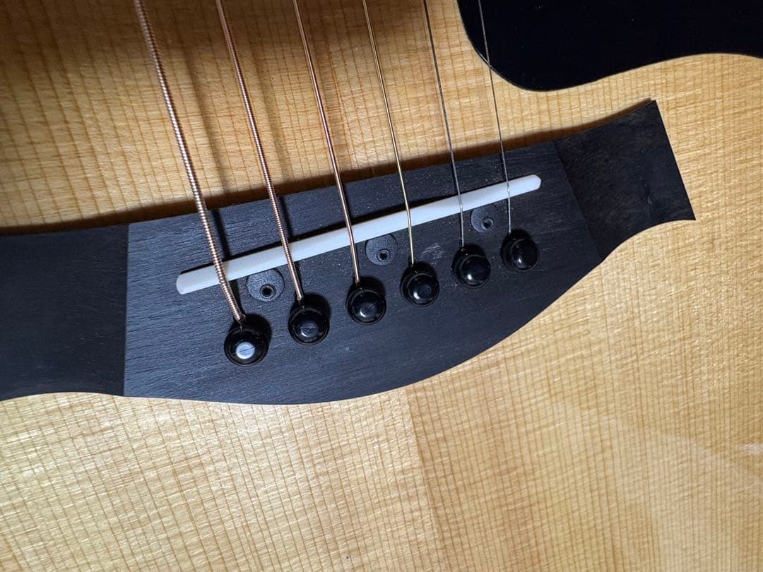 Taylor 214ce Plus ハードケース付き