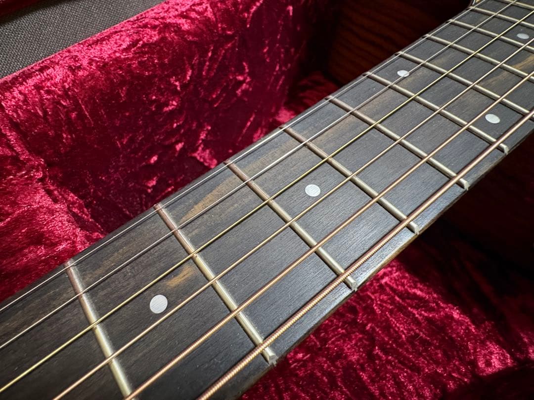 Taylor 214ce Plus ハードケース付き