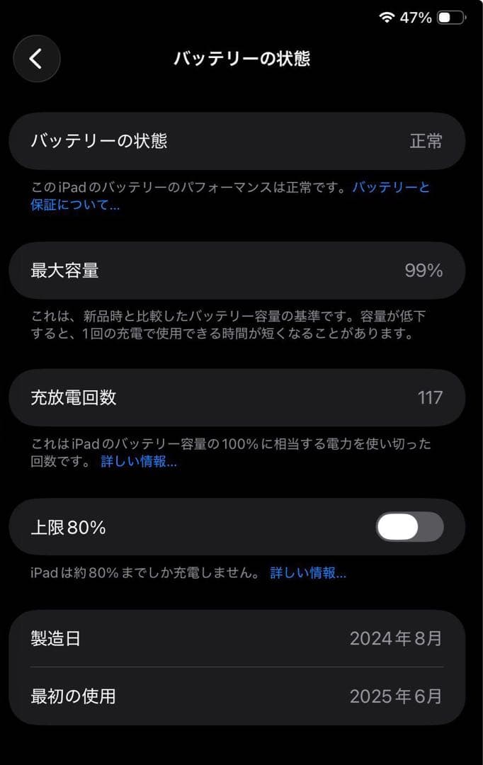 iPad Mini (A17 Pro) 128GB Wifi 保証有