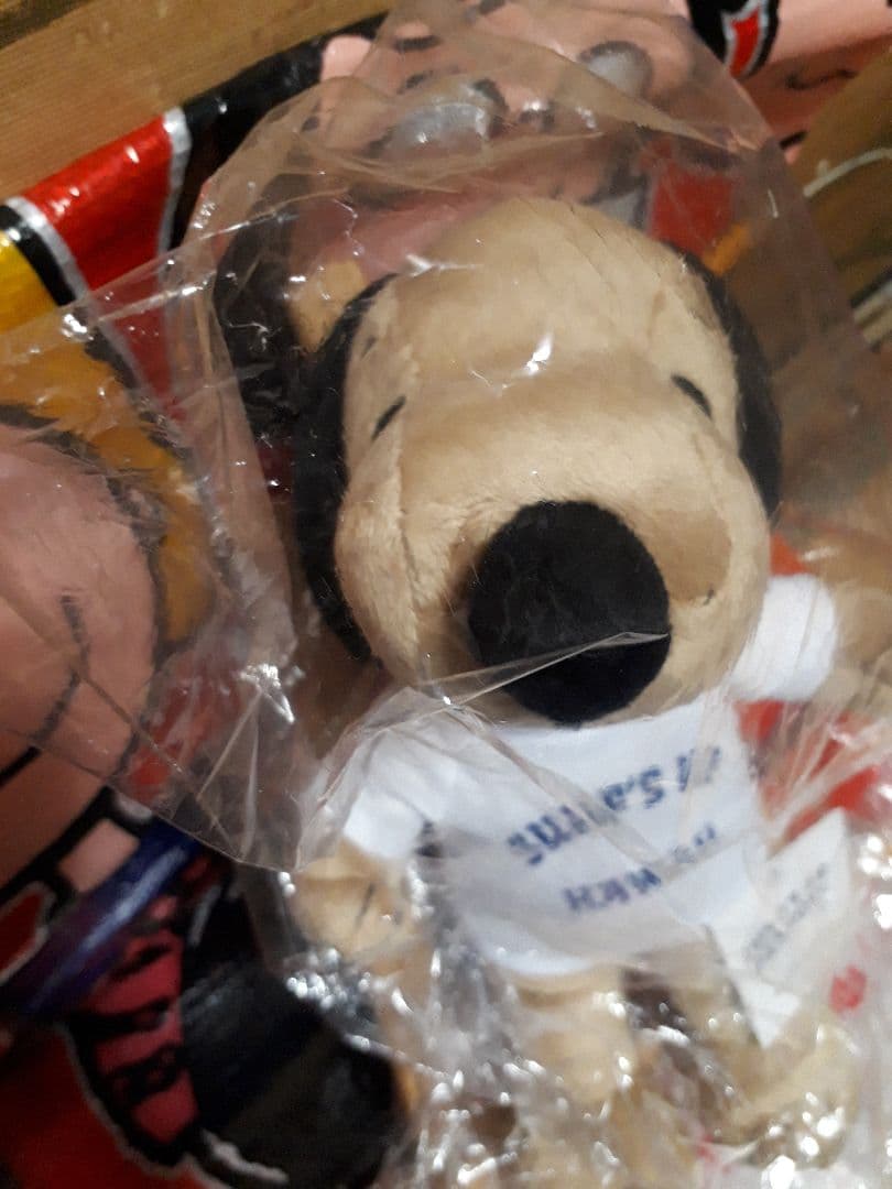 スヌーピーHAWAII ぬいぐるみSURF'S UP moni　　　レア