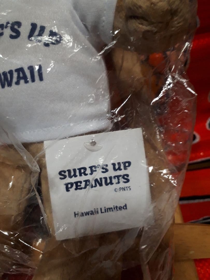 スヌーピーHAWAII ぬいぐるみSURF'S UP moni　　　レア