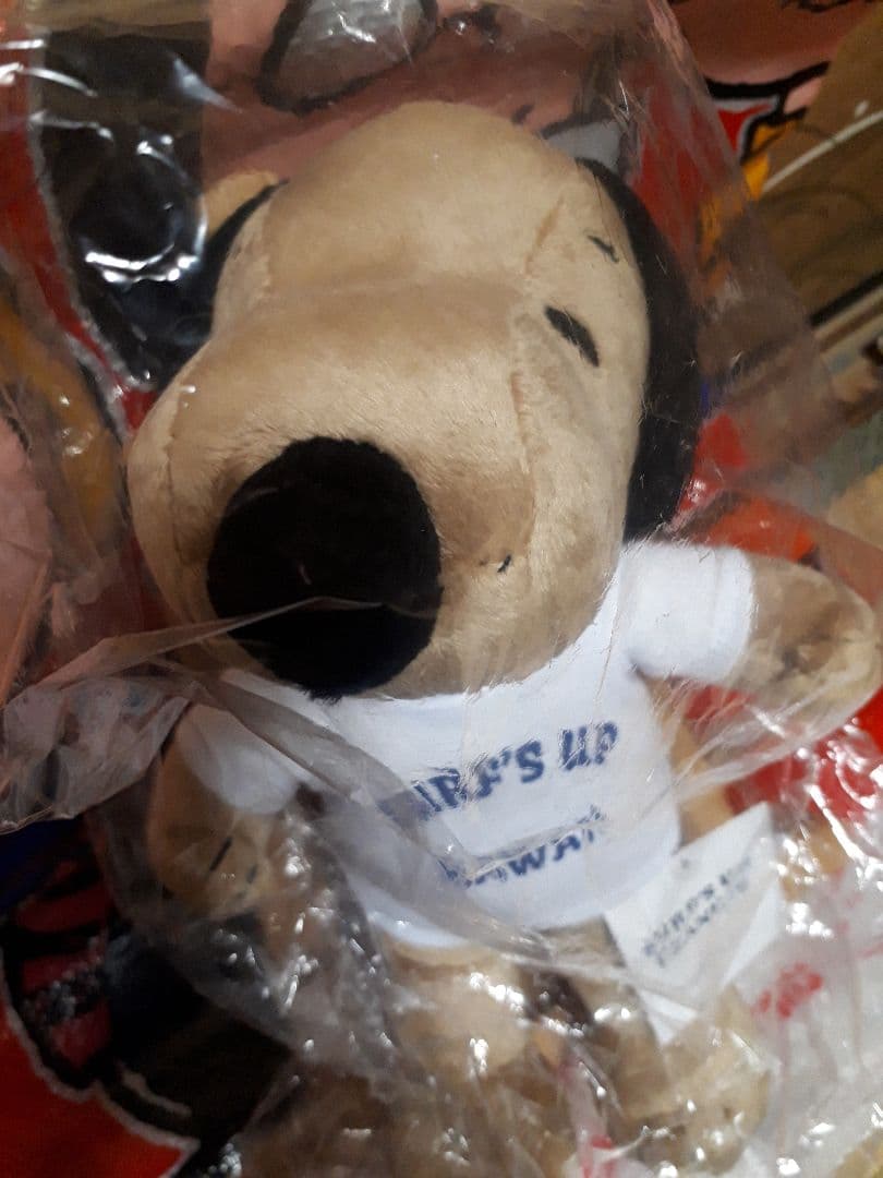 スヌーピーHAWAII ぬいぐるみSURF'S UP moni　　　レア