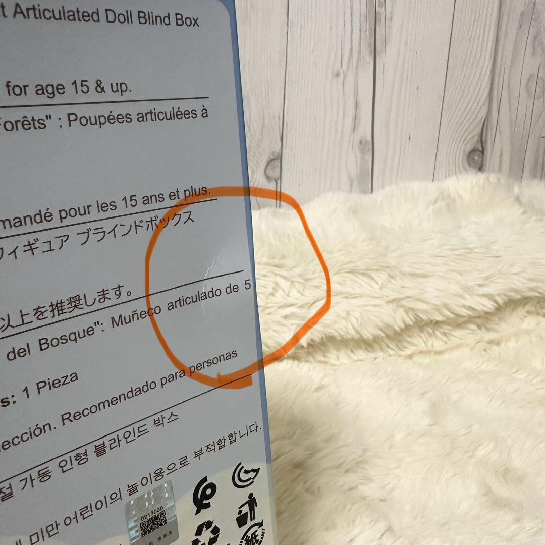 Nommi森の国猫ねこうさぎ　ドール新作