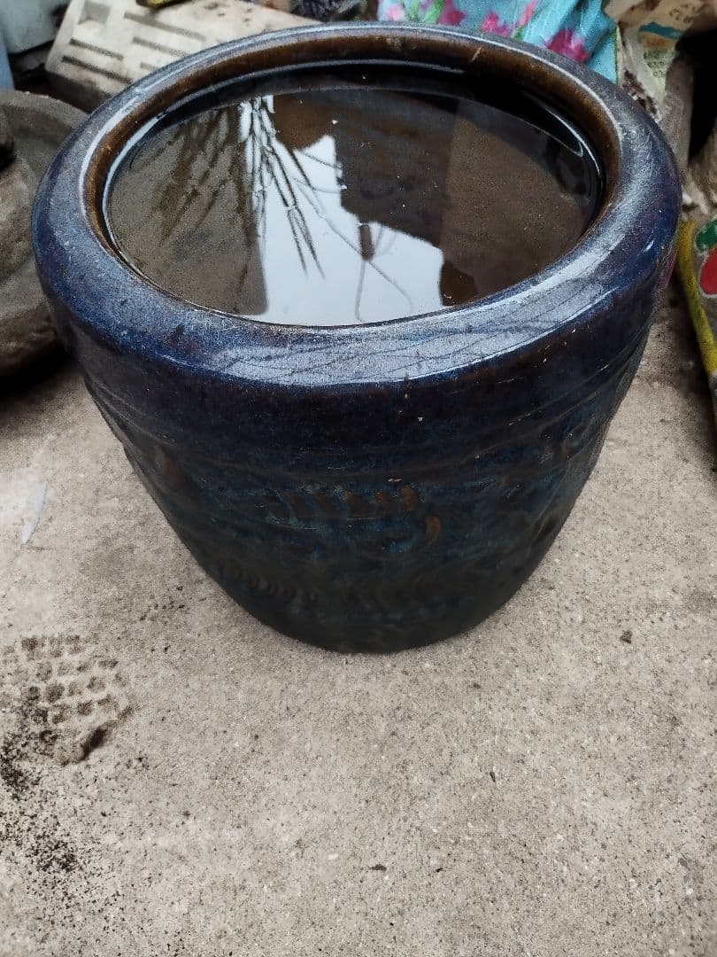 鉢(陶器)